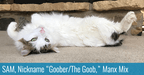 goob