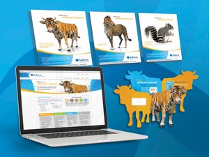 brand awareness campaign creative for communications provider solarus