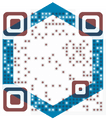 Custom Element QR Code